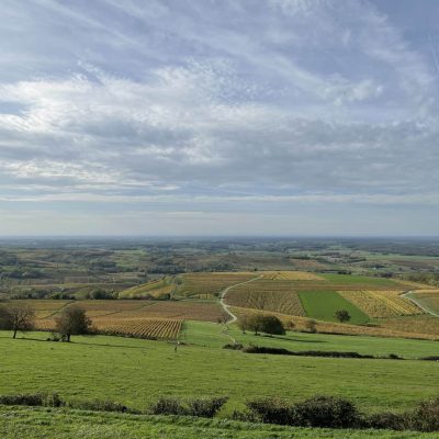 Vue du vignoble jurassien depuis Pupillin